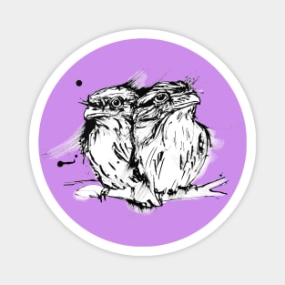 Unbounded Friendship -2 Tawny Frogmouth Owls Magnet